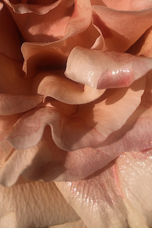 ETERNAL BLOOM SERUM